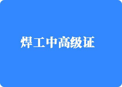 草比视频免费播放焊工中高级证